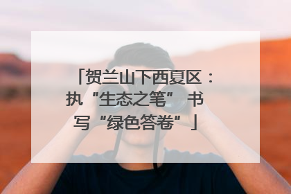 贺兰山下西夏区：执“生态之笔” 书写“绿色答卷”